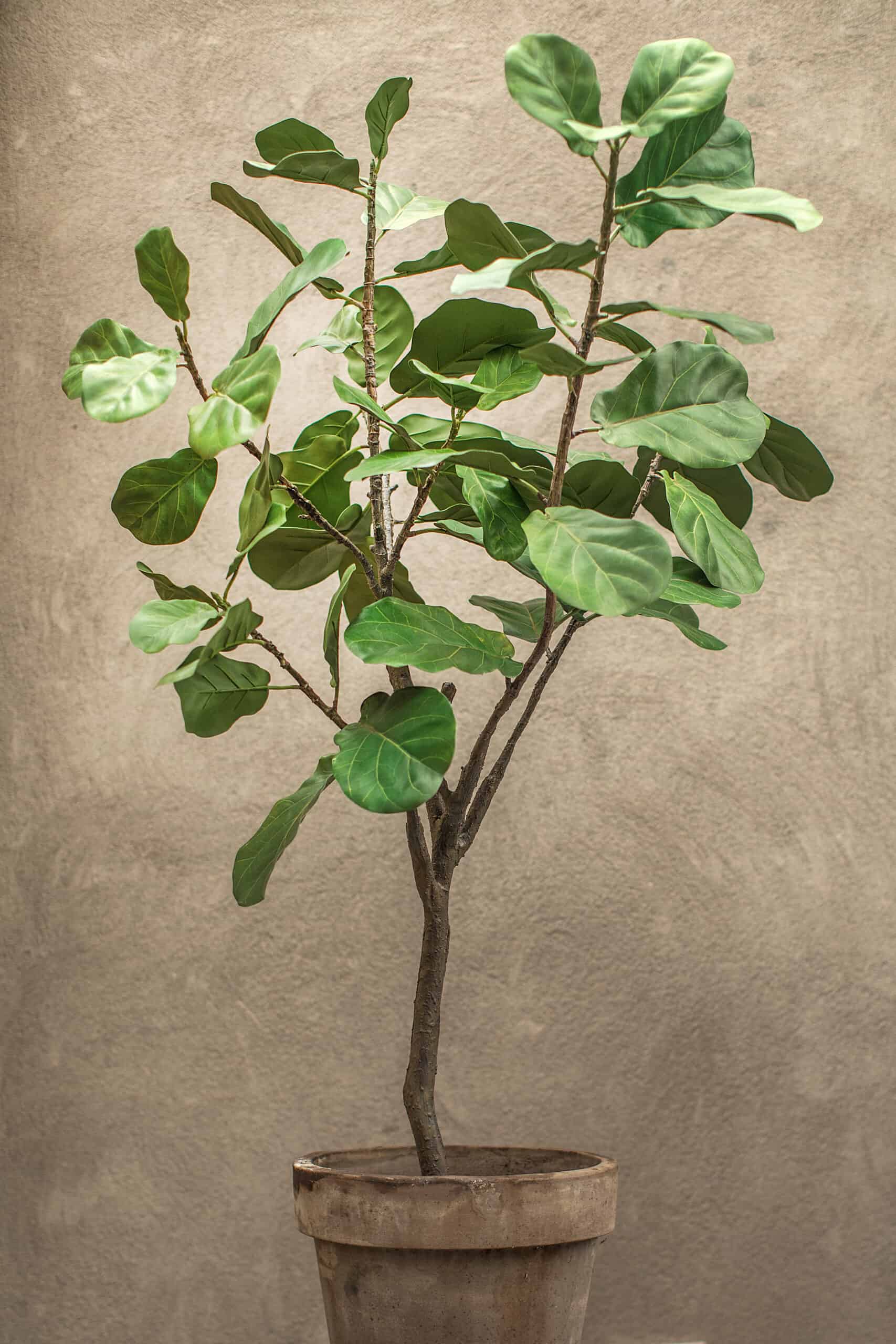 Kunstplanten