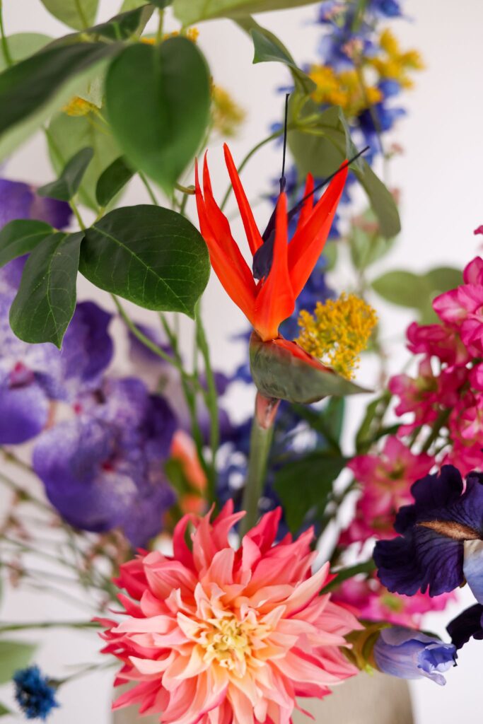 Elikrancherfotografiexexclingericht-38