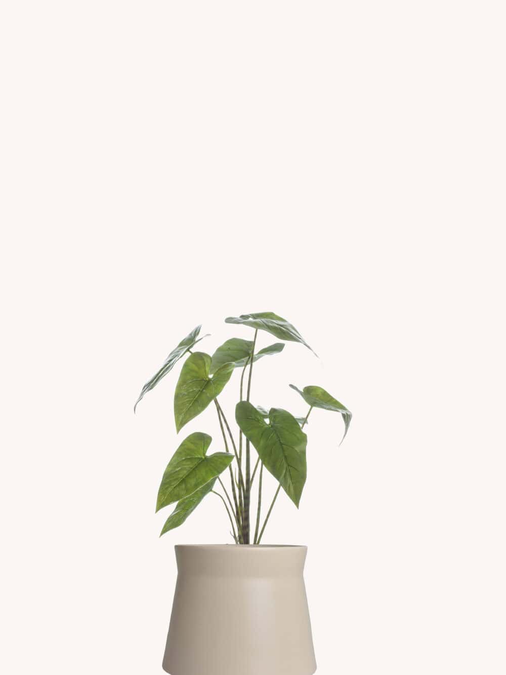 Kunstplant alocasia zebrina 75 cm