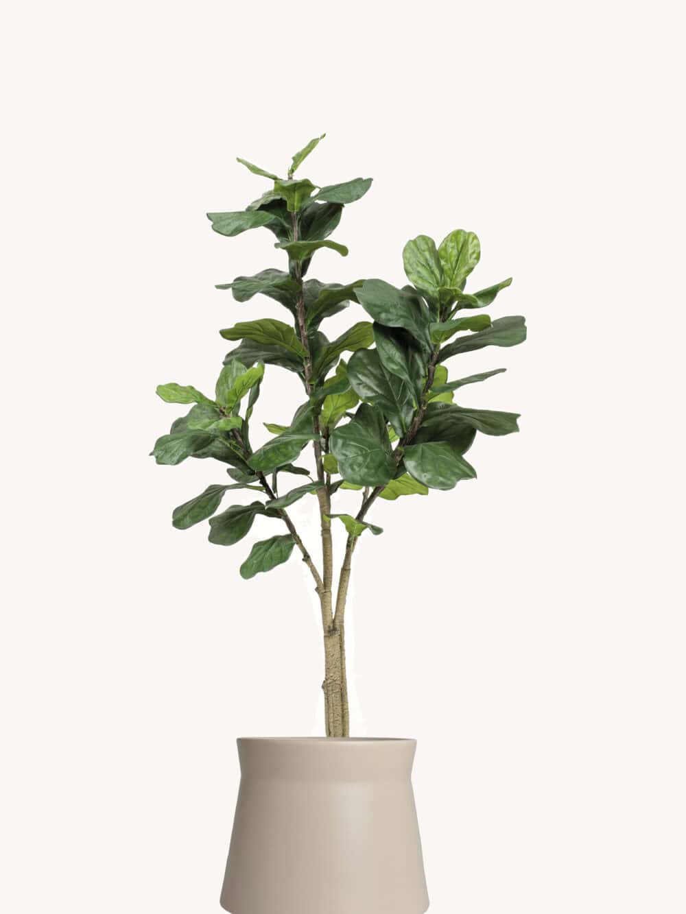kunstplant ficus lyrata 180