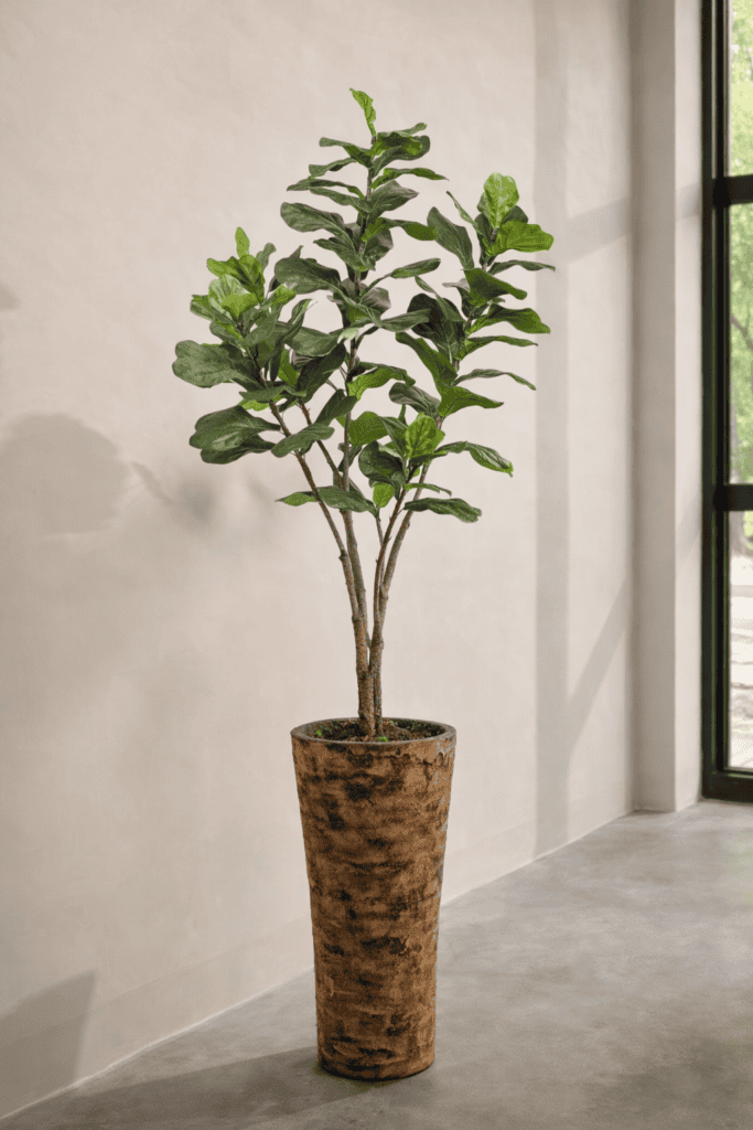 Kunstplant ficus lyrata 210cm