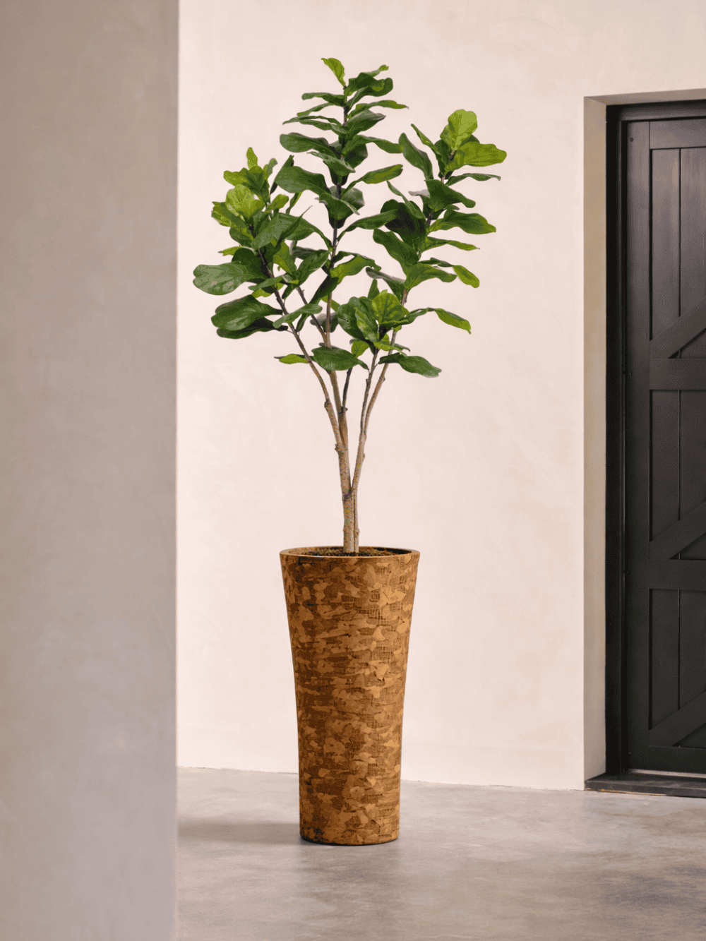 Kunstplant ficus lyrata 210cm