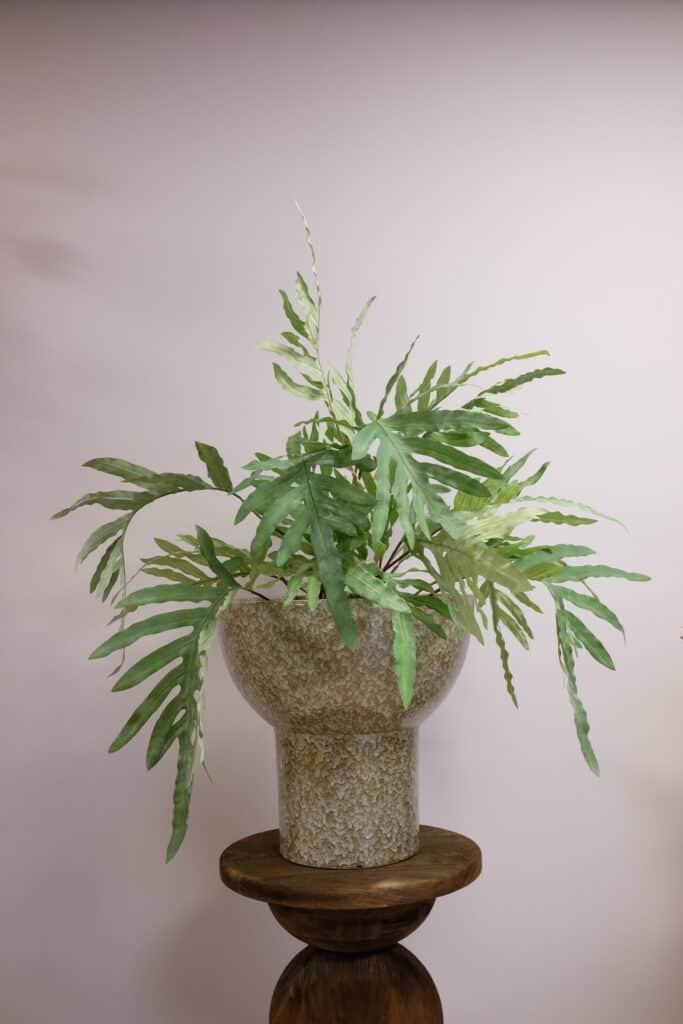 Phlebodium kunstplant