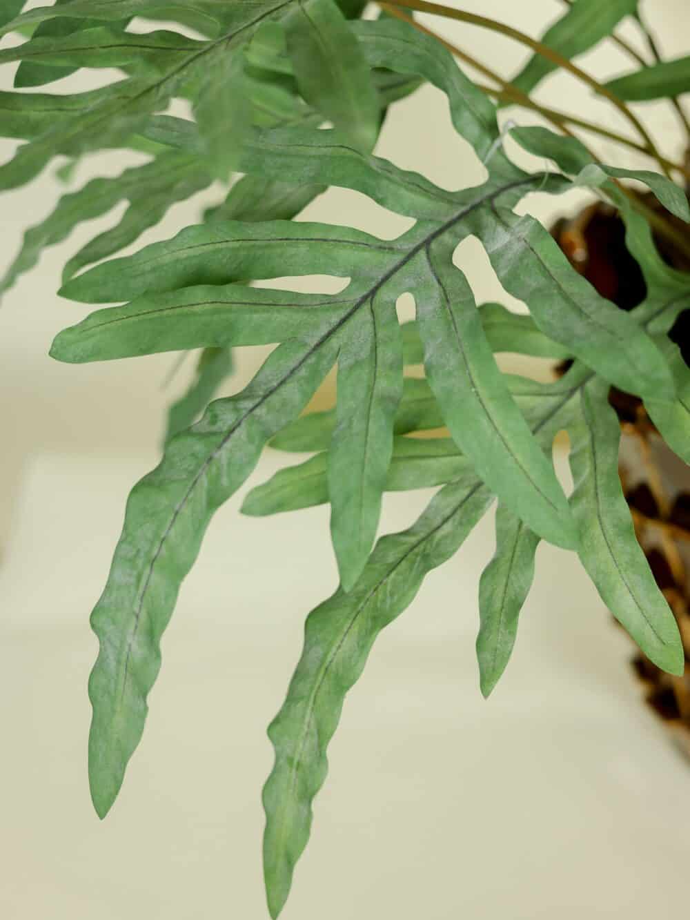 Kunstplant Phlebodium 80 cm