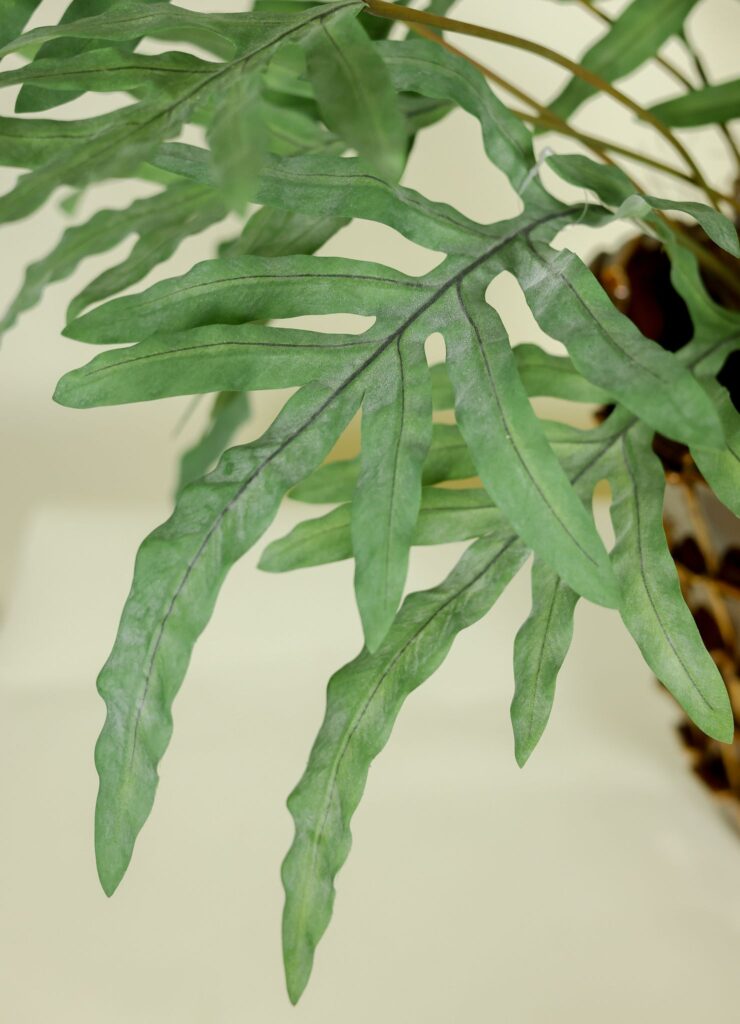 Kunstplant Phlebodium 80 cm