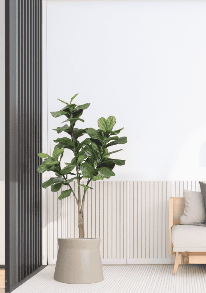 Kunstplant ficus lyrata 180cm