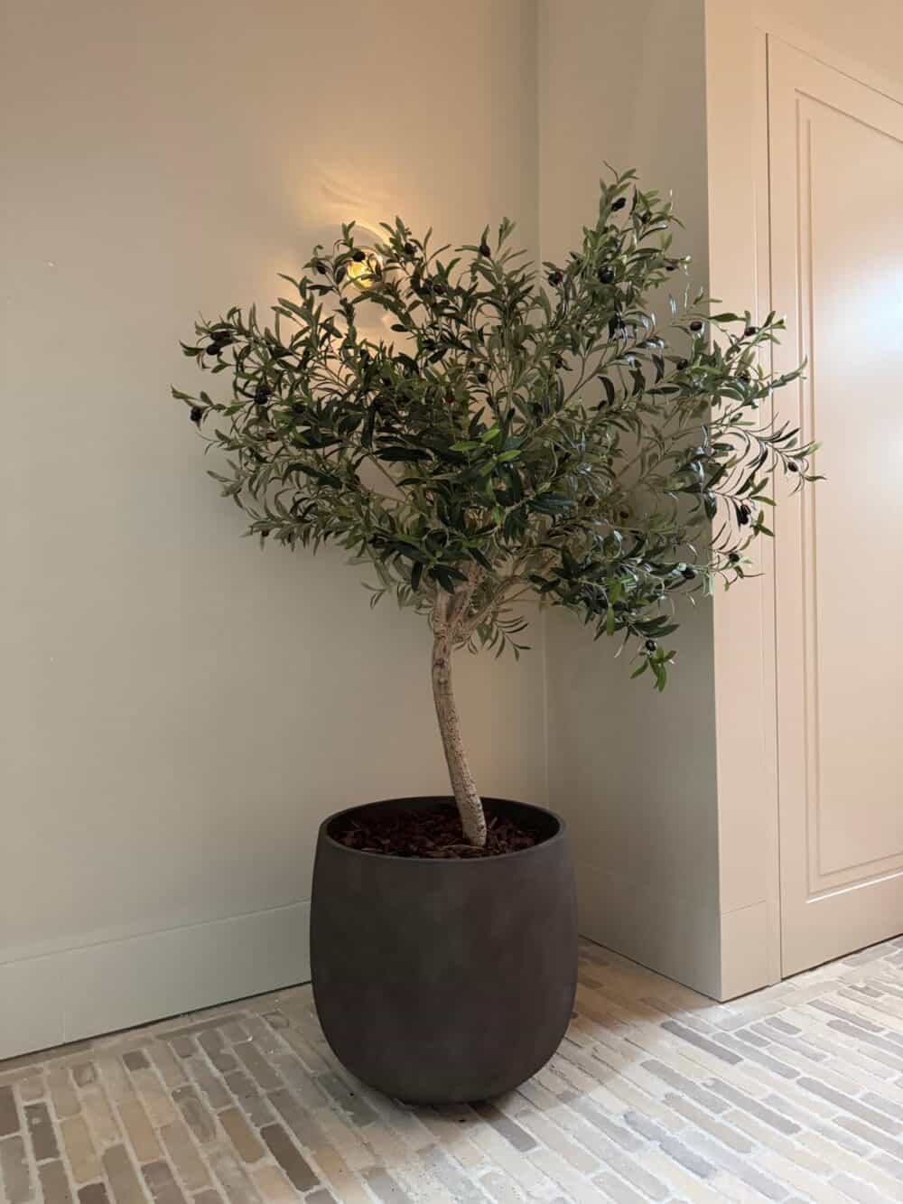 Kunst olijfboom met olijf