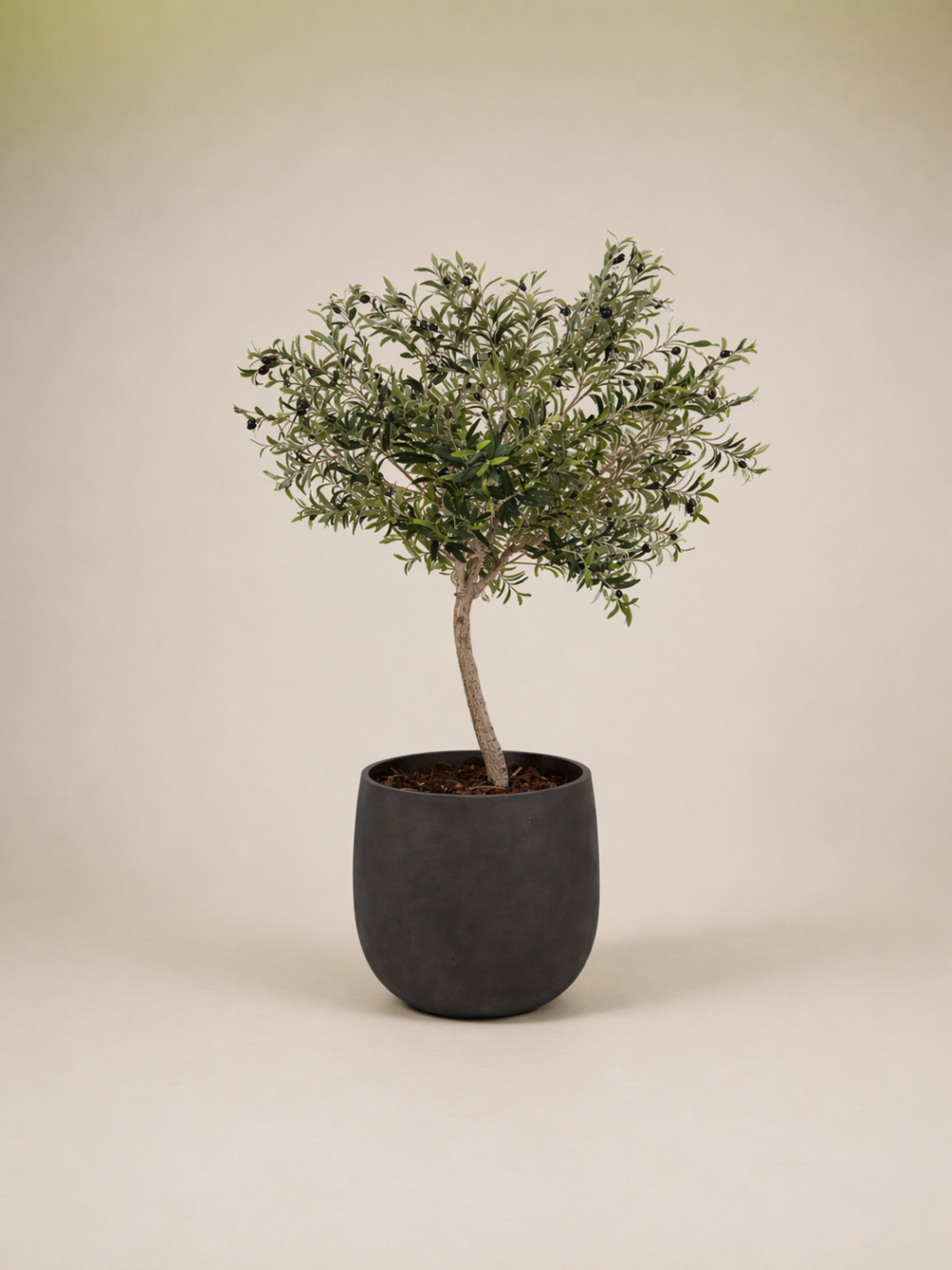Kunstplant olijf boom 180cm