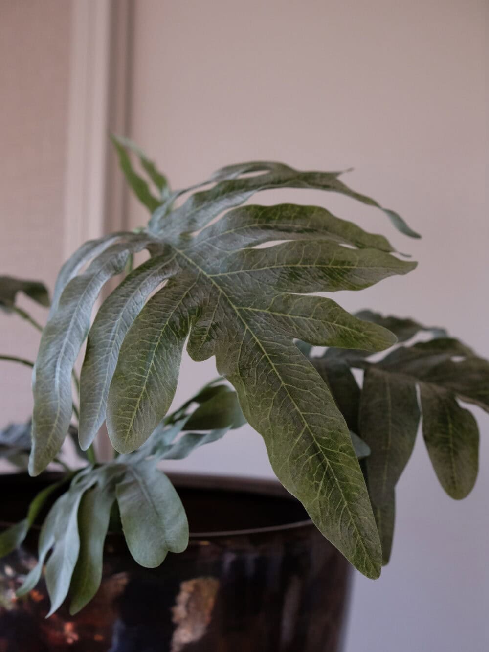 Phlebodium kunstplant blauwvaren