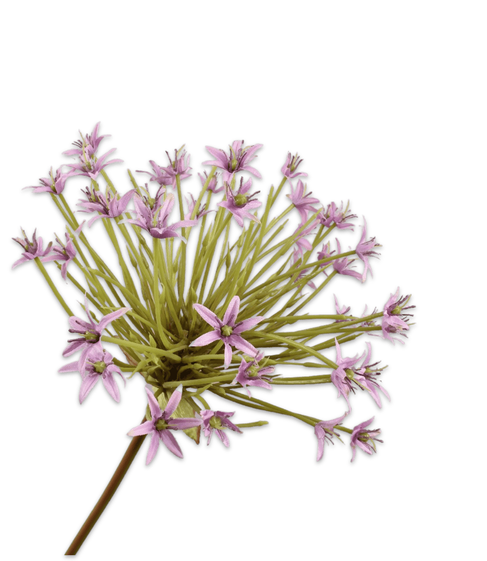 Kunstbloem Allium L lila