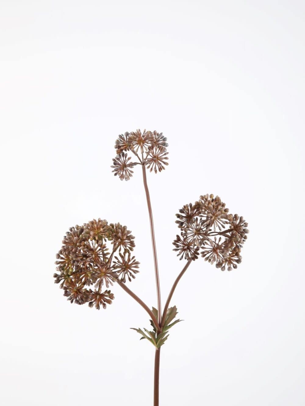 Kunstbloem Angelica