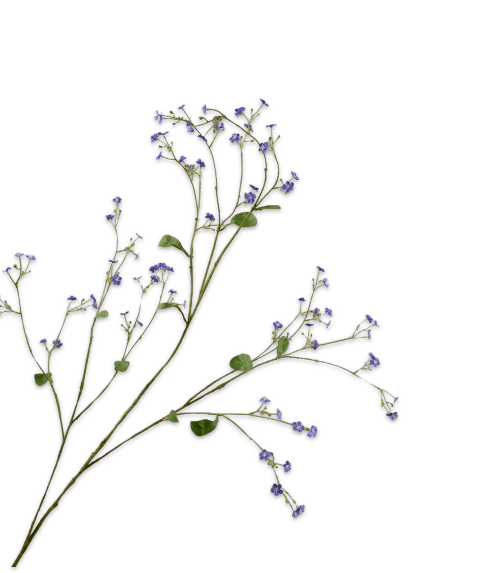 Kunsttak spierstruik blauw Silk-ka