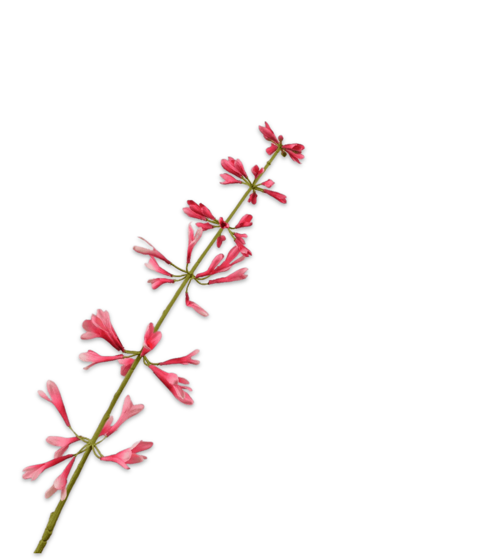 Kunstbloem Salvia salie roze Silk-ka