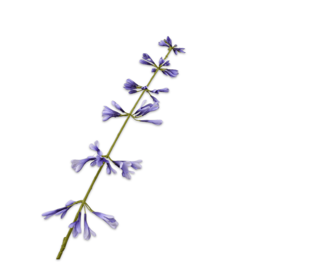 Kunstbloem Salvia salie blauw Silk-ka