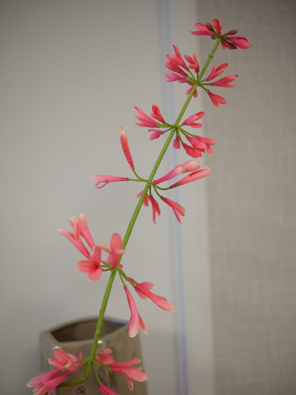 Kunstbloem Salvia salie roze Silk-ka