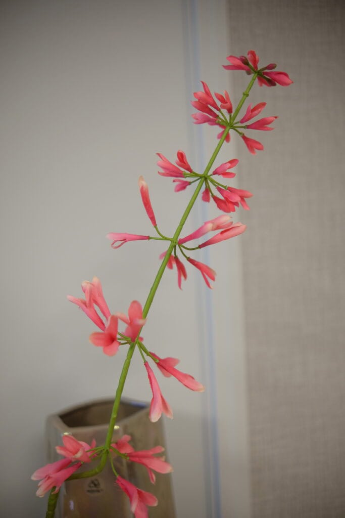 Kunstbloem Salvia salie roze Silk-ka