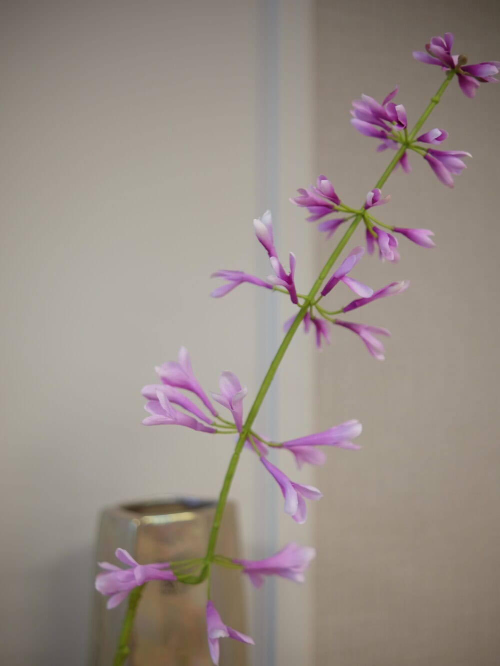 Kunstbloem Salvia salie paars Silk-ka