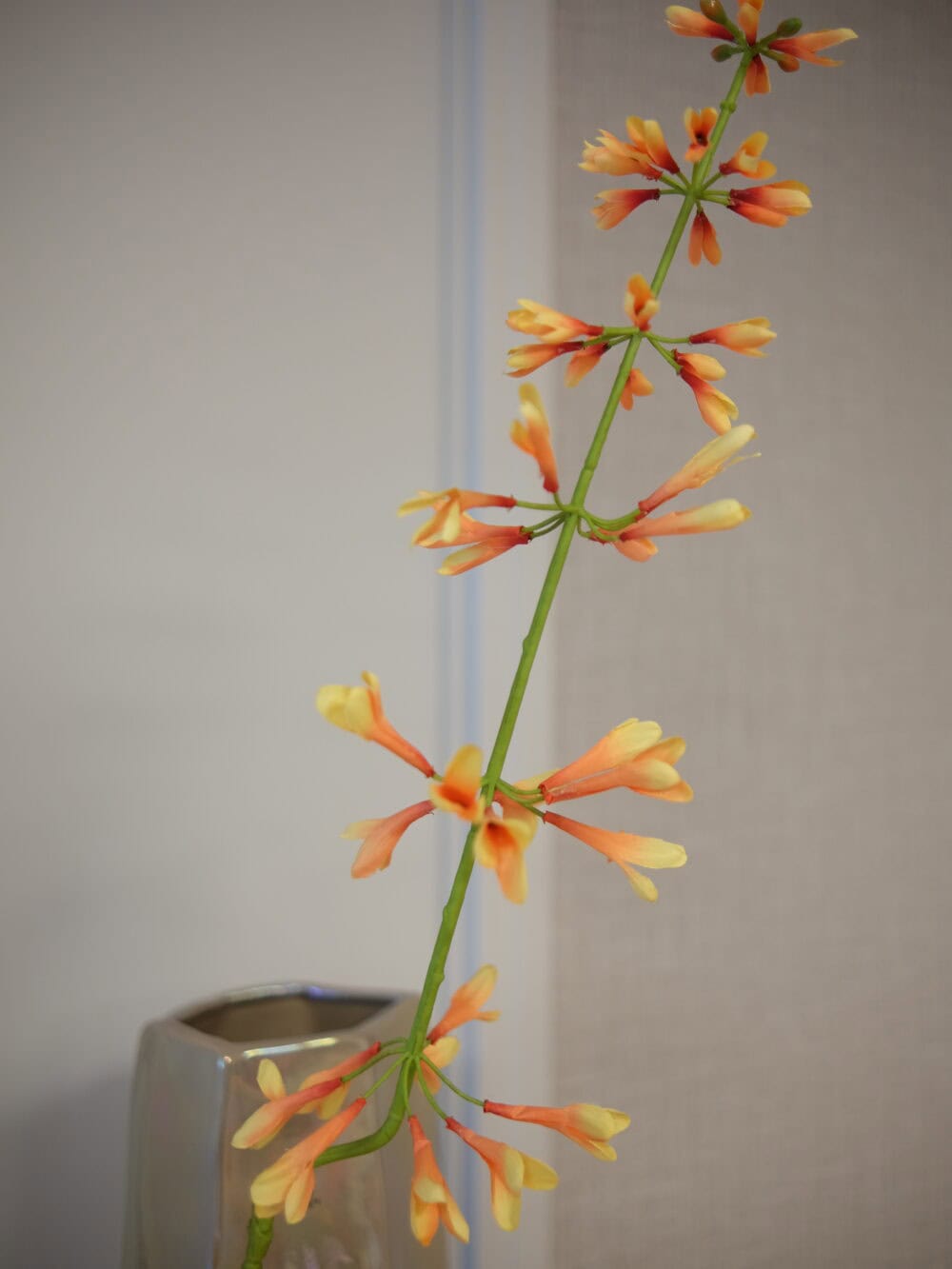 Kunstbloem Salvia salie peach Silk-ka