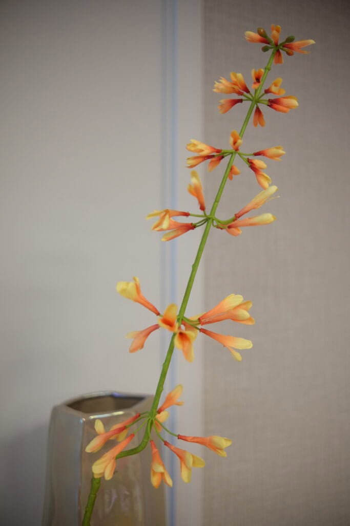 Kunstbloem Salvia salie peach Silk-ka