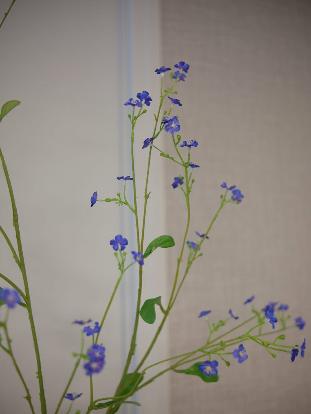 Kunsttak gipskruid blauw Silk-ka