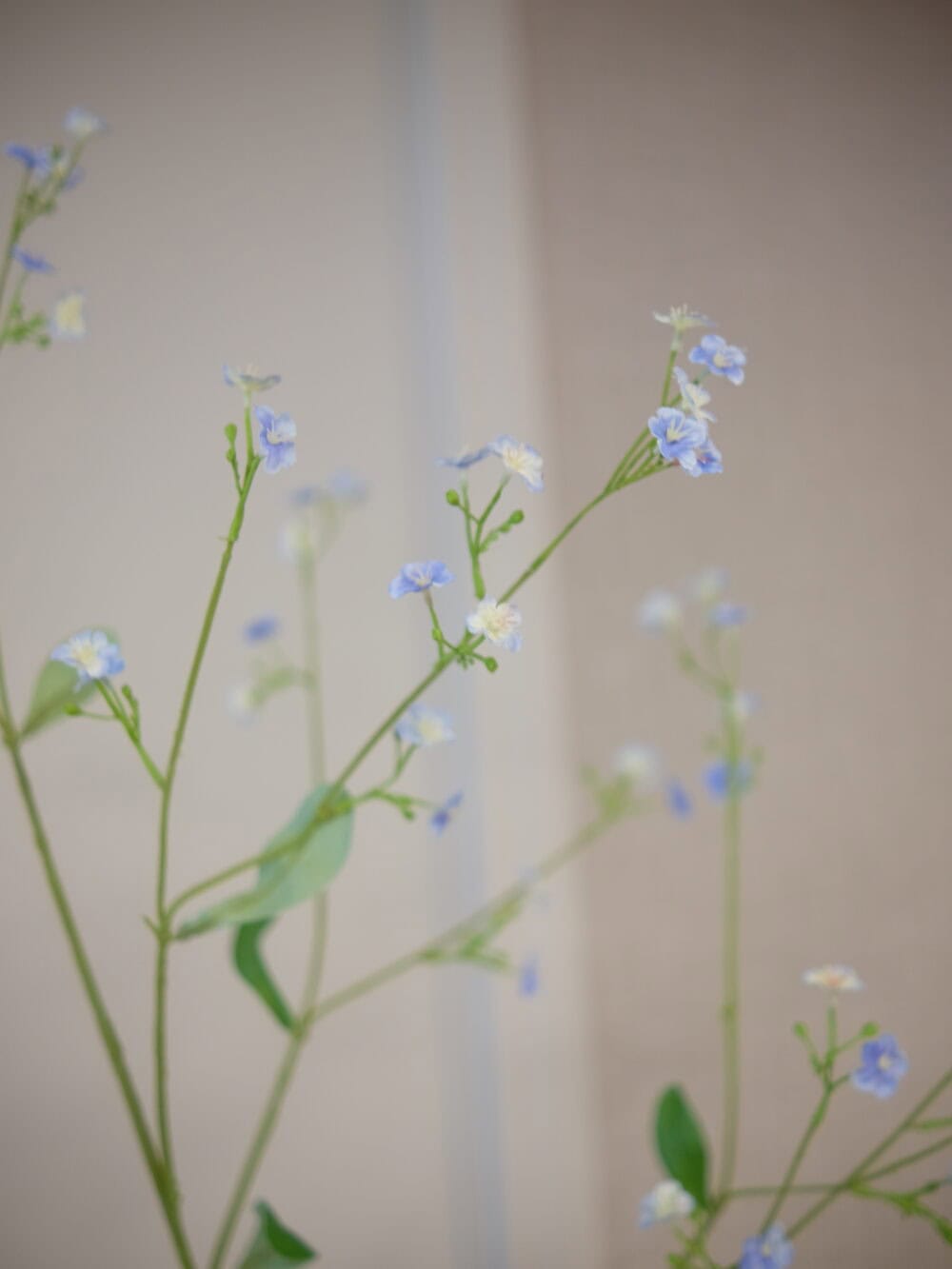 Kunsttak gipskruid licht blauw Silk-ka
