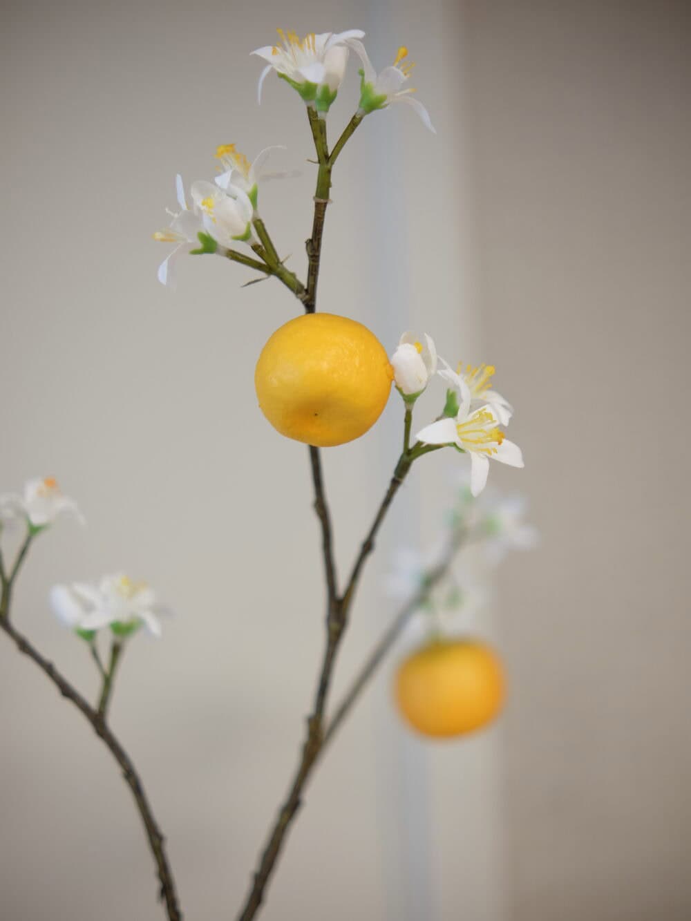 Sinasappeltak Silk-ka 124 cm