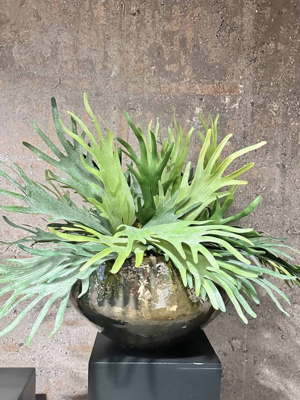 Staghorn (hertshoorn) kunstplant