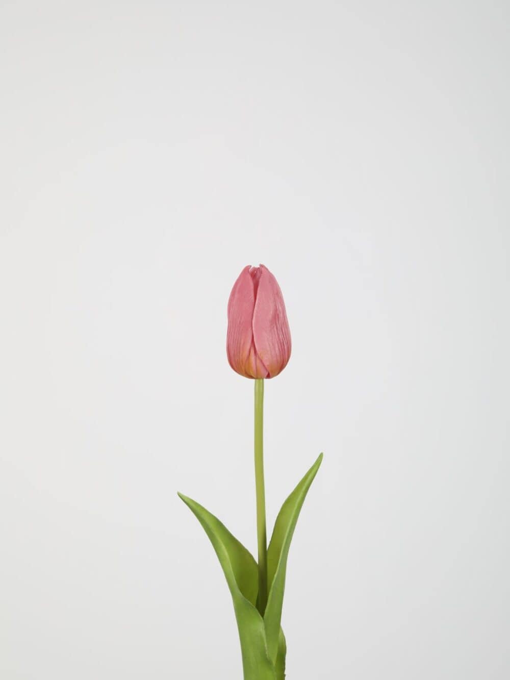 Tulp roze 45 cm