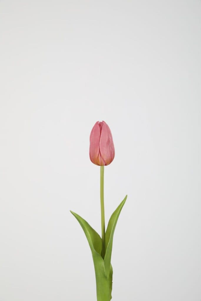 Tulp roze 45 cm