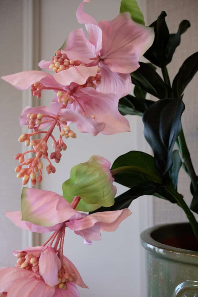 Medinella kunstplant