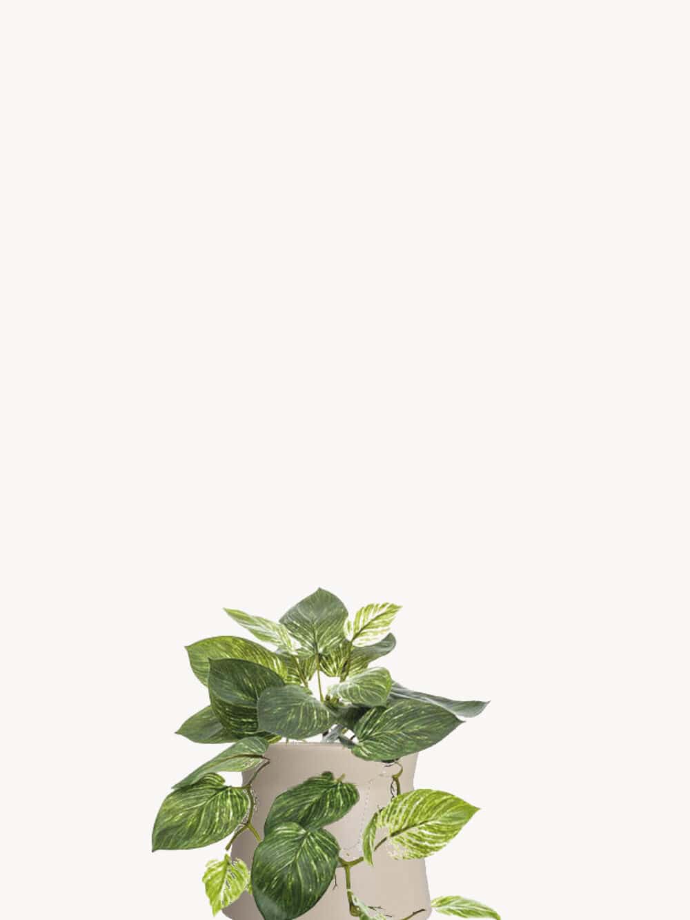 Kunstplant Scindapsus
