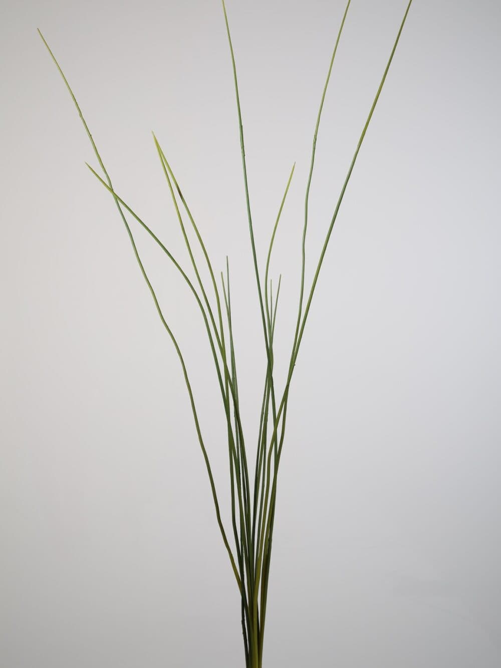 Grasbundel 95 cm