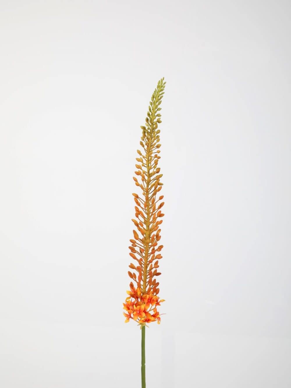 Naald van cleopatra 112 cm oranje