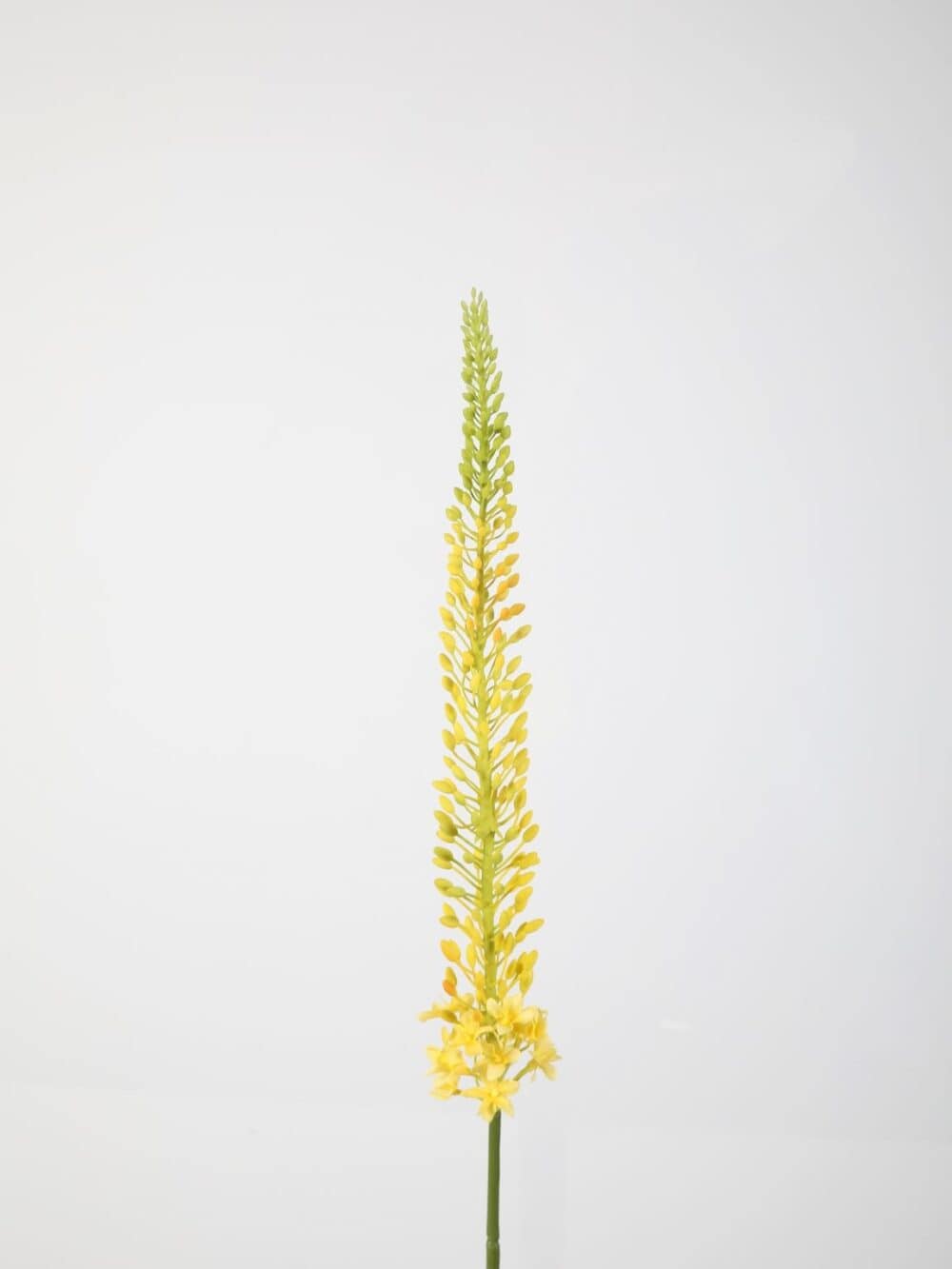 Naald van cleopatra 112 cm geel