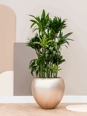 bloempot champagne zilver