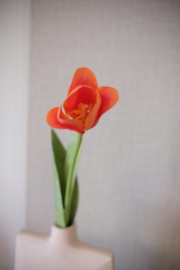 kunst tulp Silkka