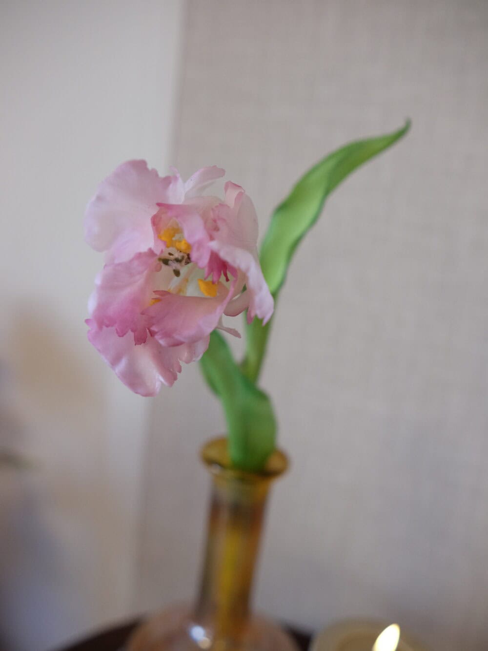 kunsttulp wit roze