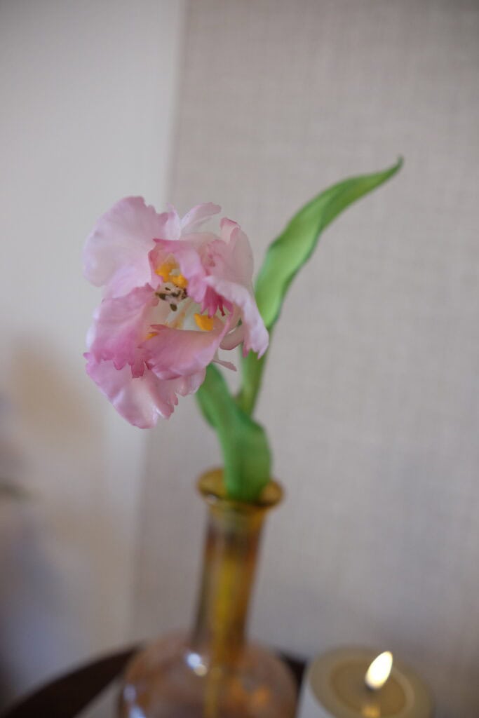 kunsttulp wit roze