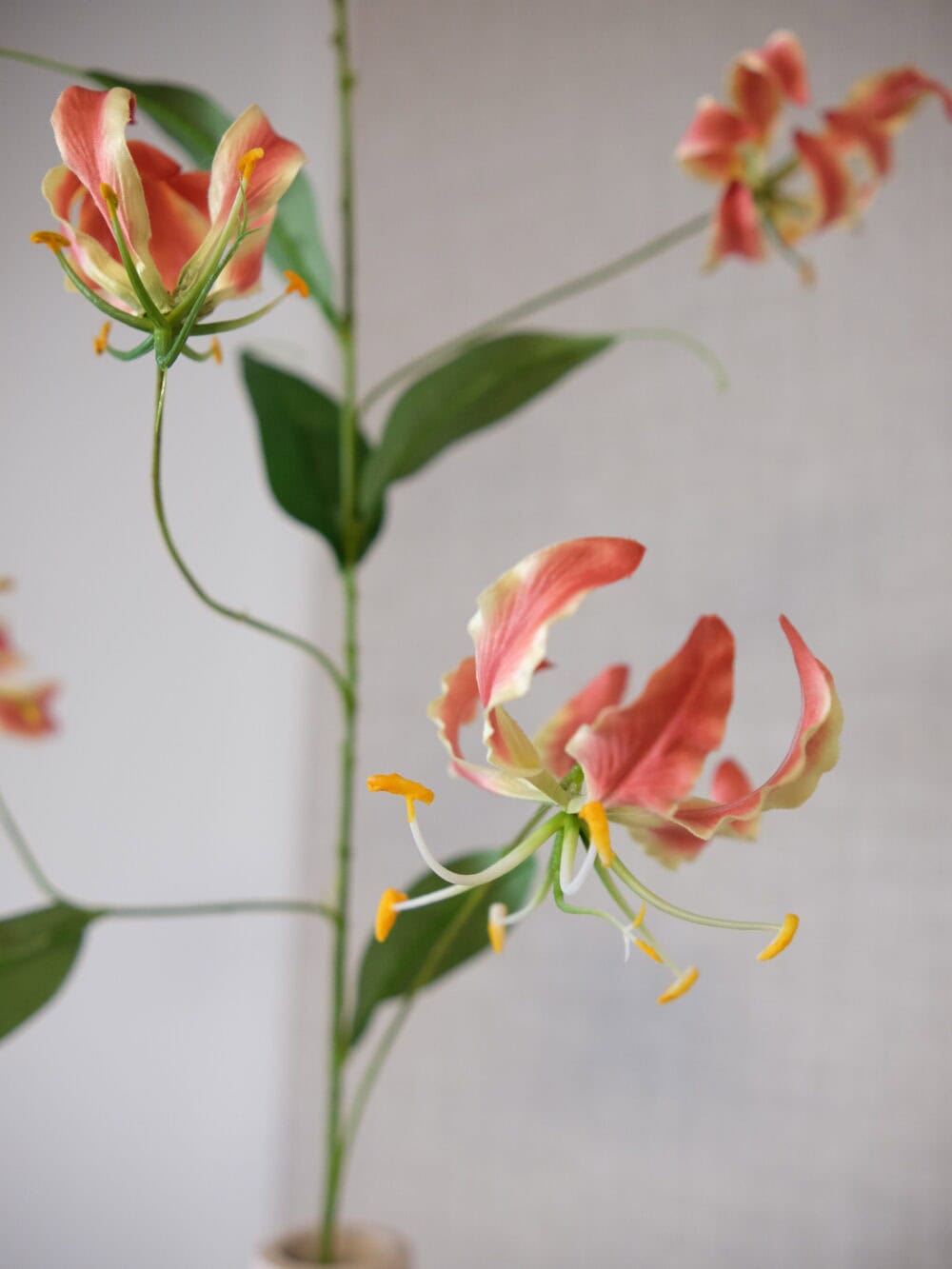 Gloriosa bloem 86 cm