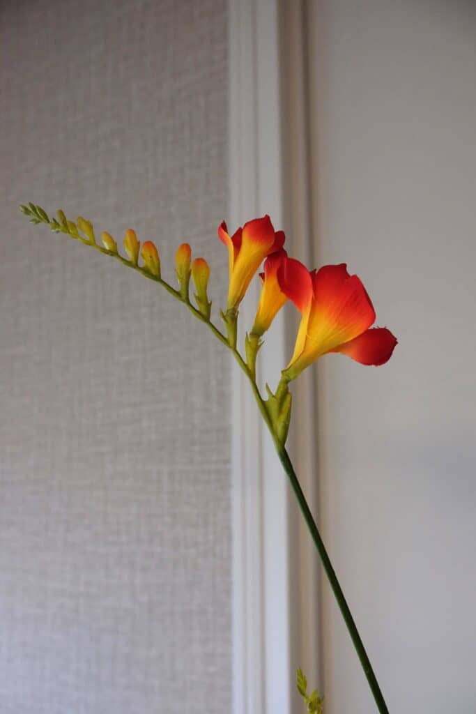 Kunstbloem Freesia