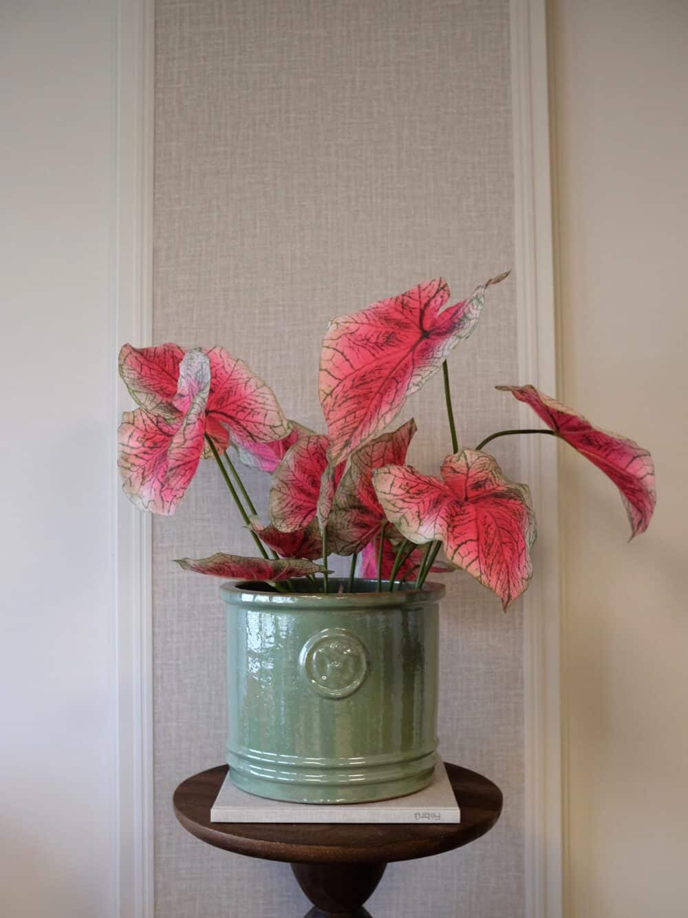 Caladium kunstplant