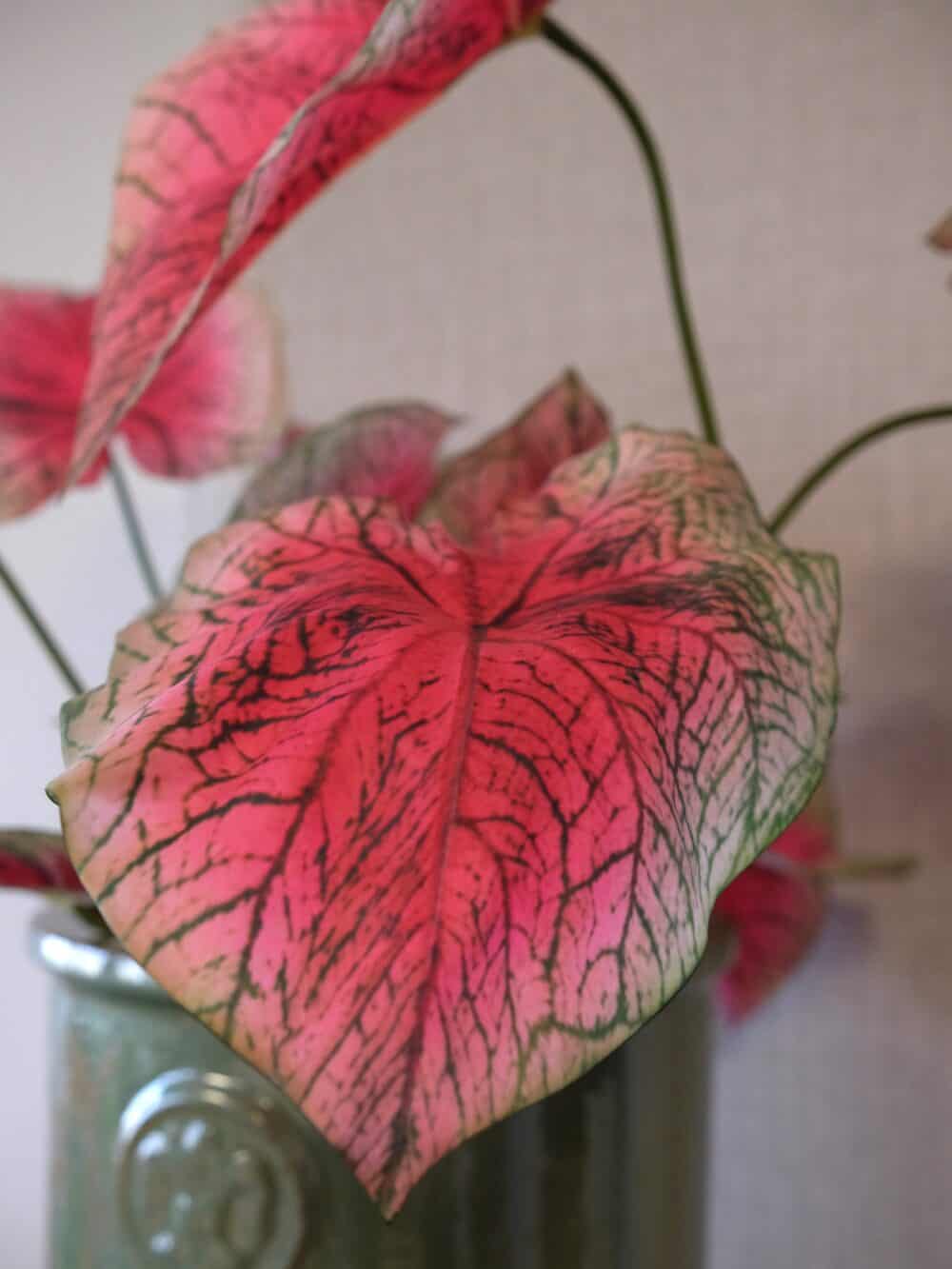 Kunstplant roze