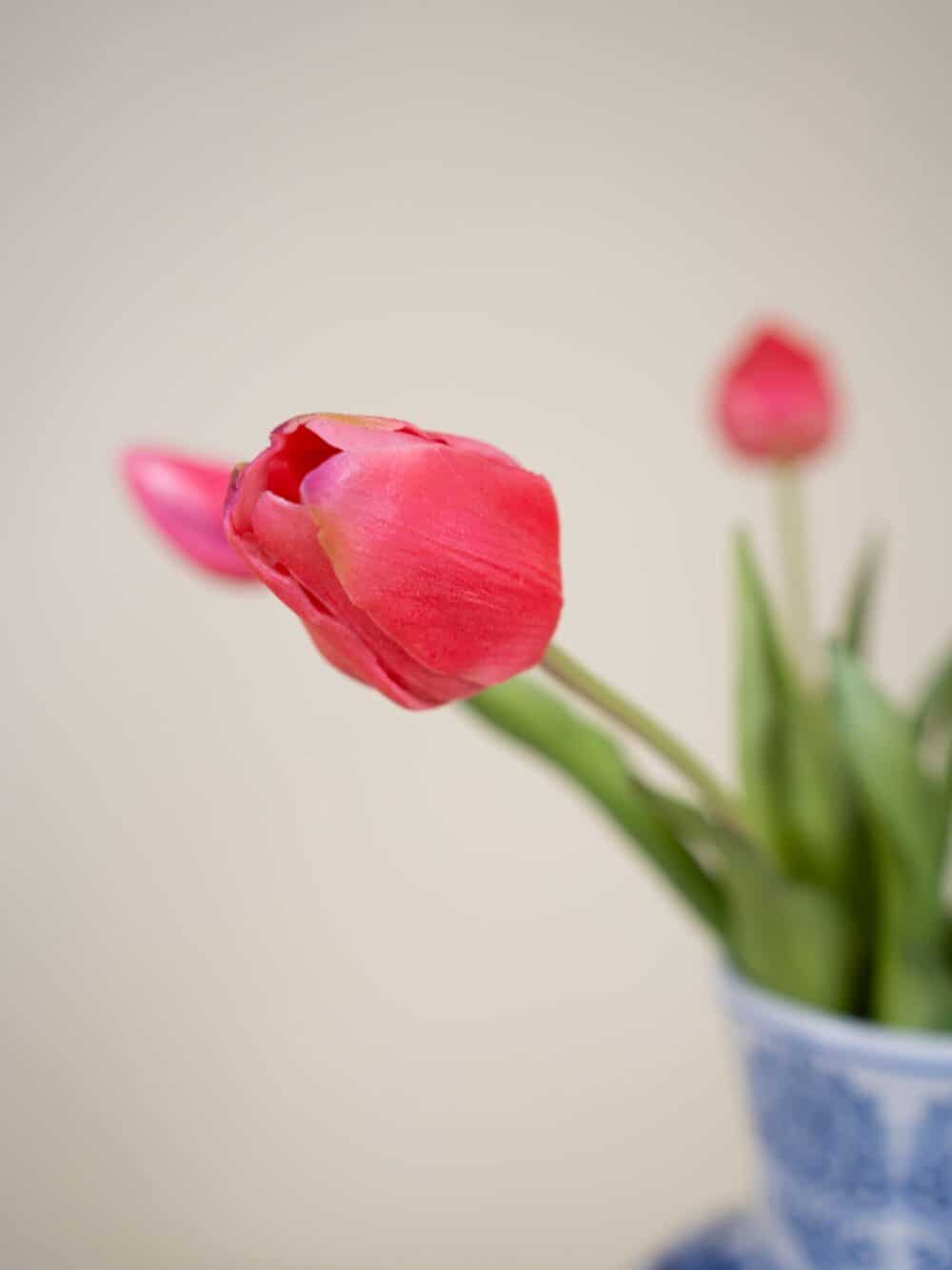 kunst tulpen bundel roze