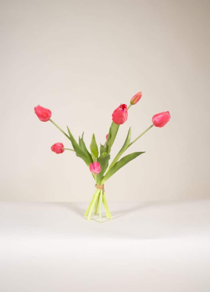 kunst tulpen bundel roze