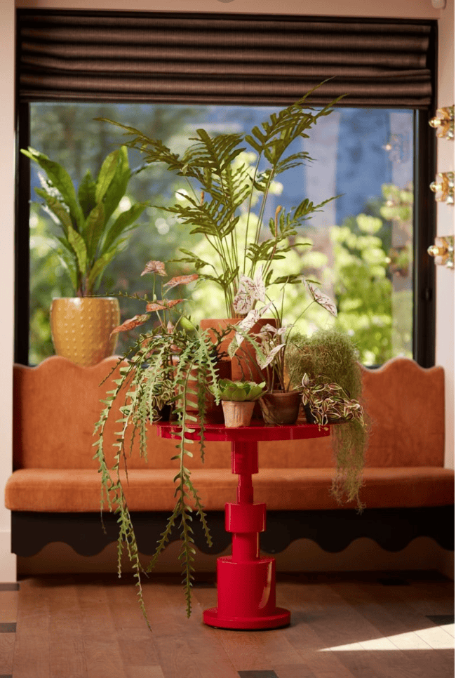 Epiphyllum kunst hangplant