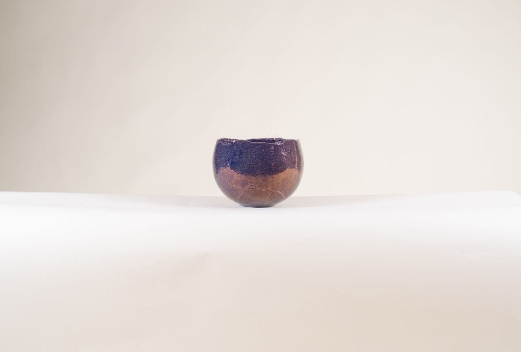 Ecri bolivia egg paars dia 20