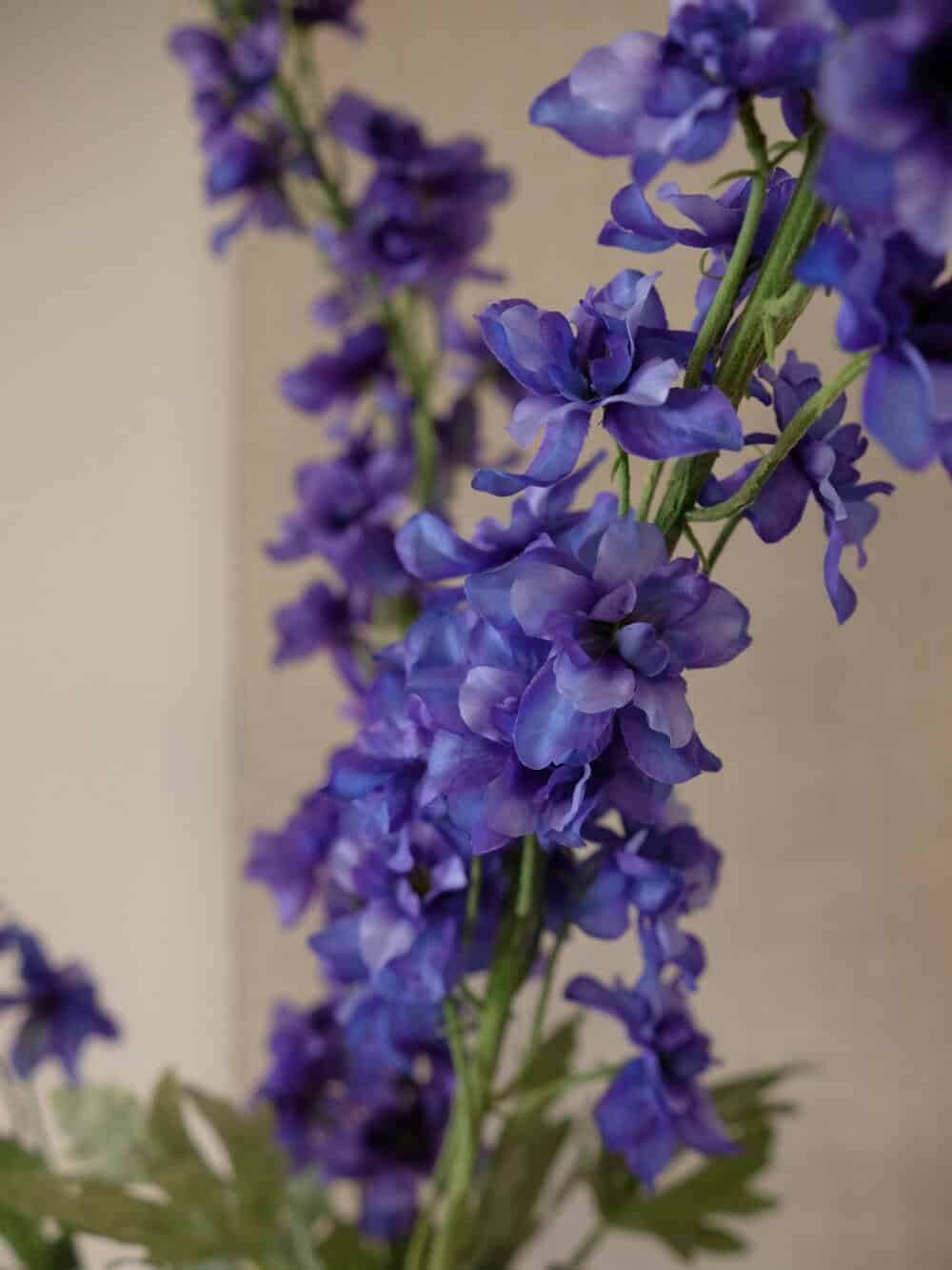 Delphinium blauw