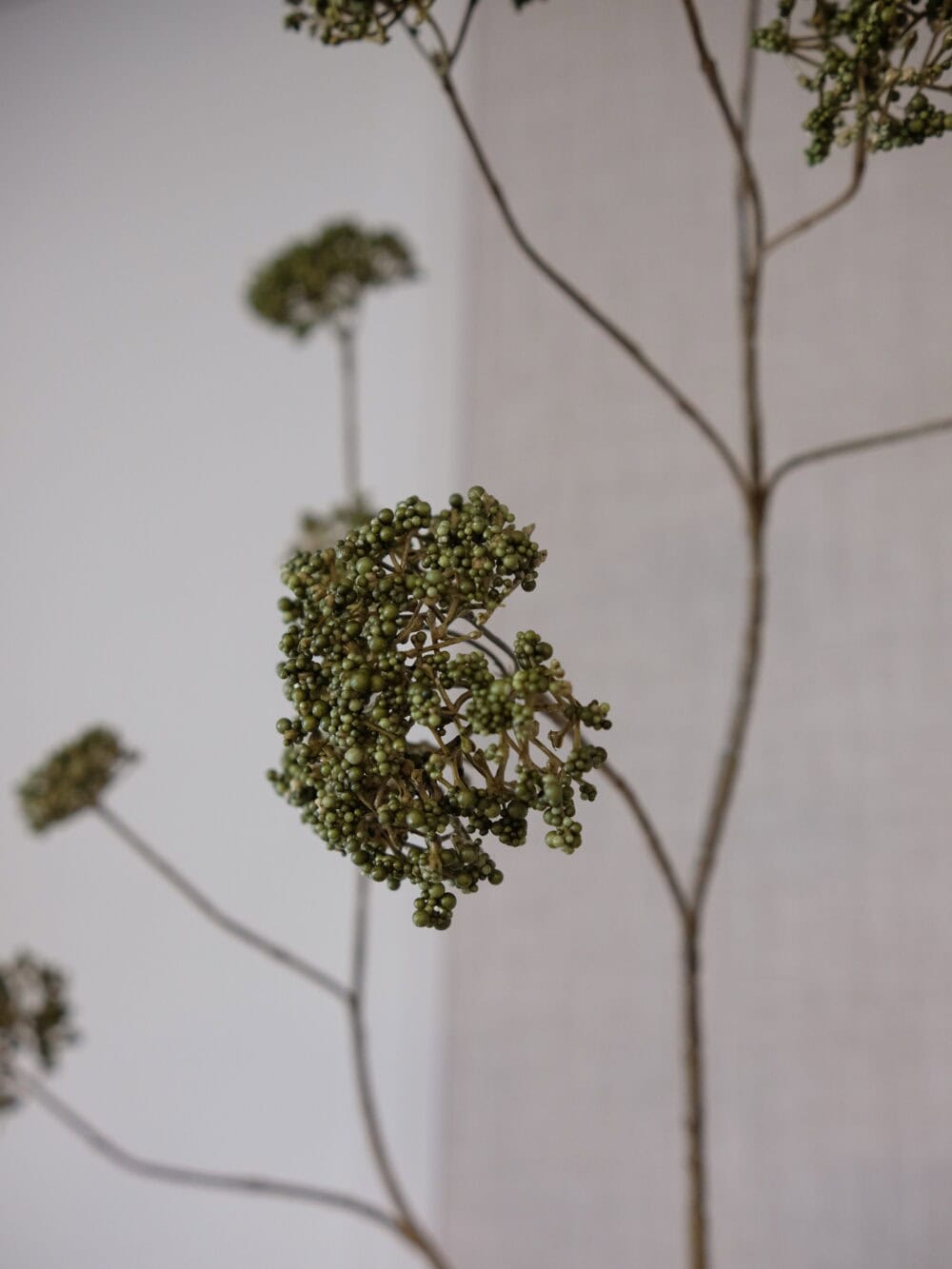 Viburnum kunsttak groen