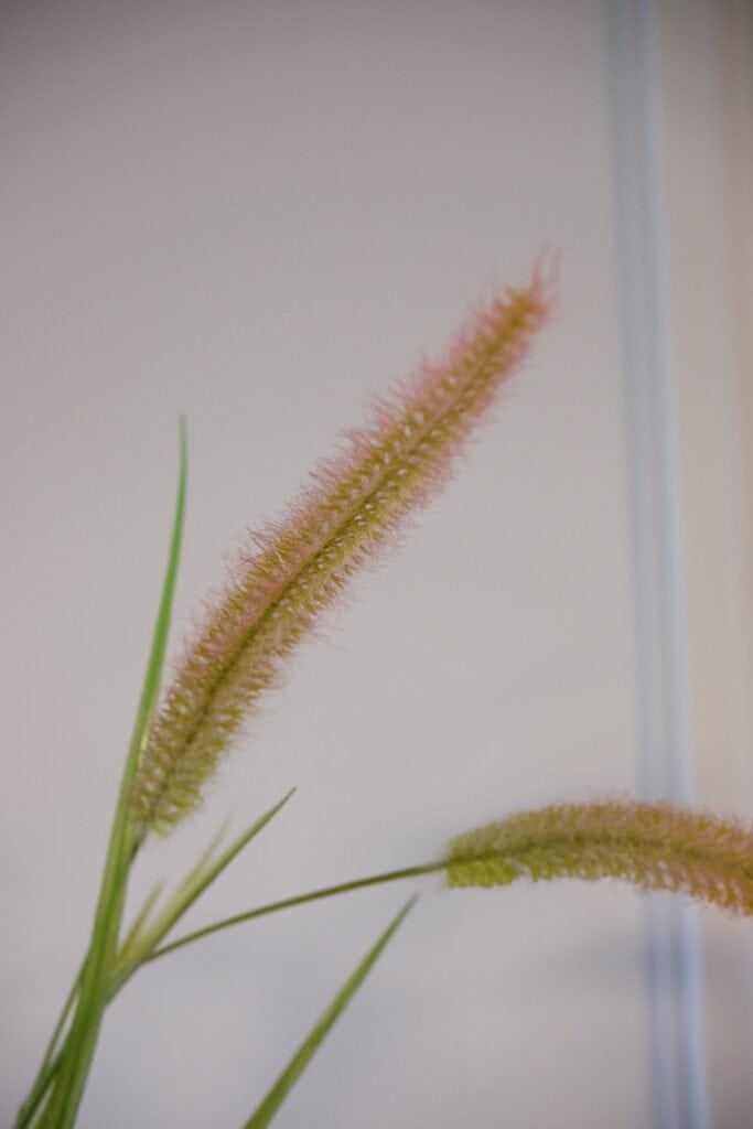 Kunstgras fox tail roze 85 cm