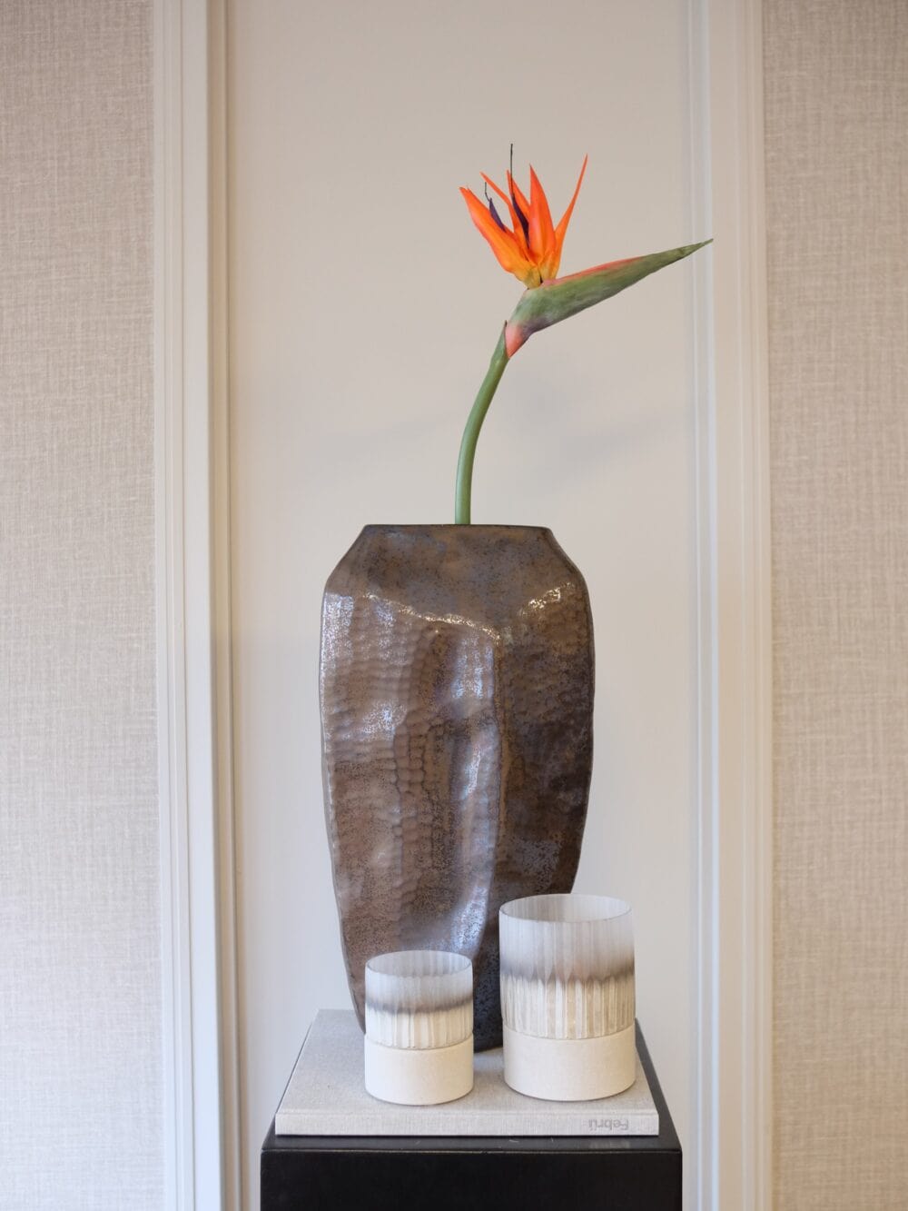Paradijsvogel bloem Strelitzia